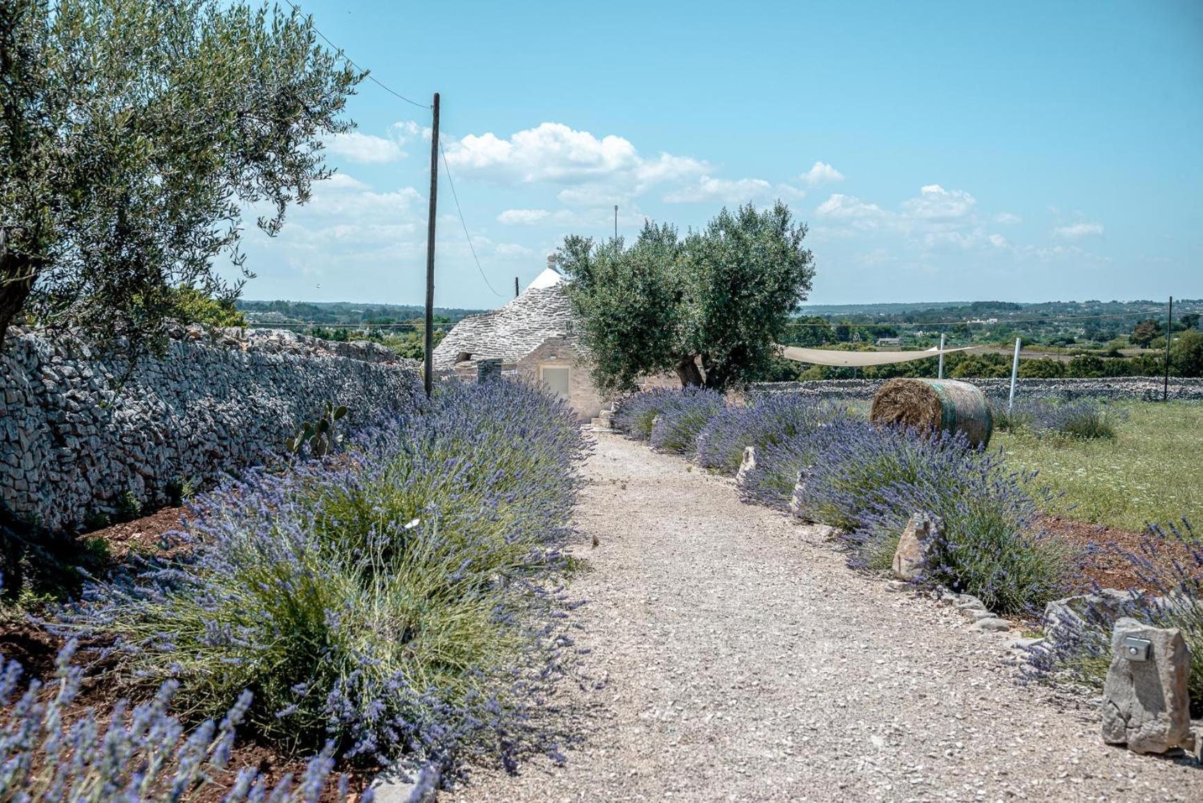 מרטינה פרנקה Masseria Pavone מראה חיצוני תמונה