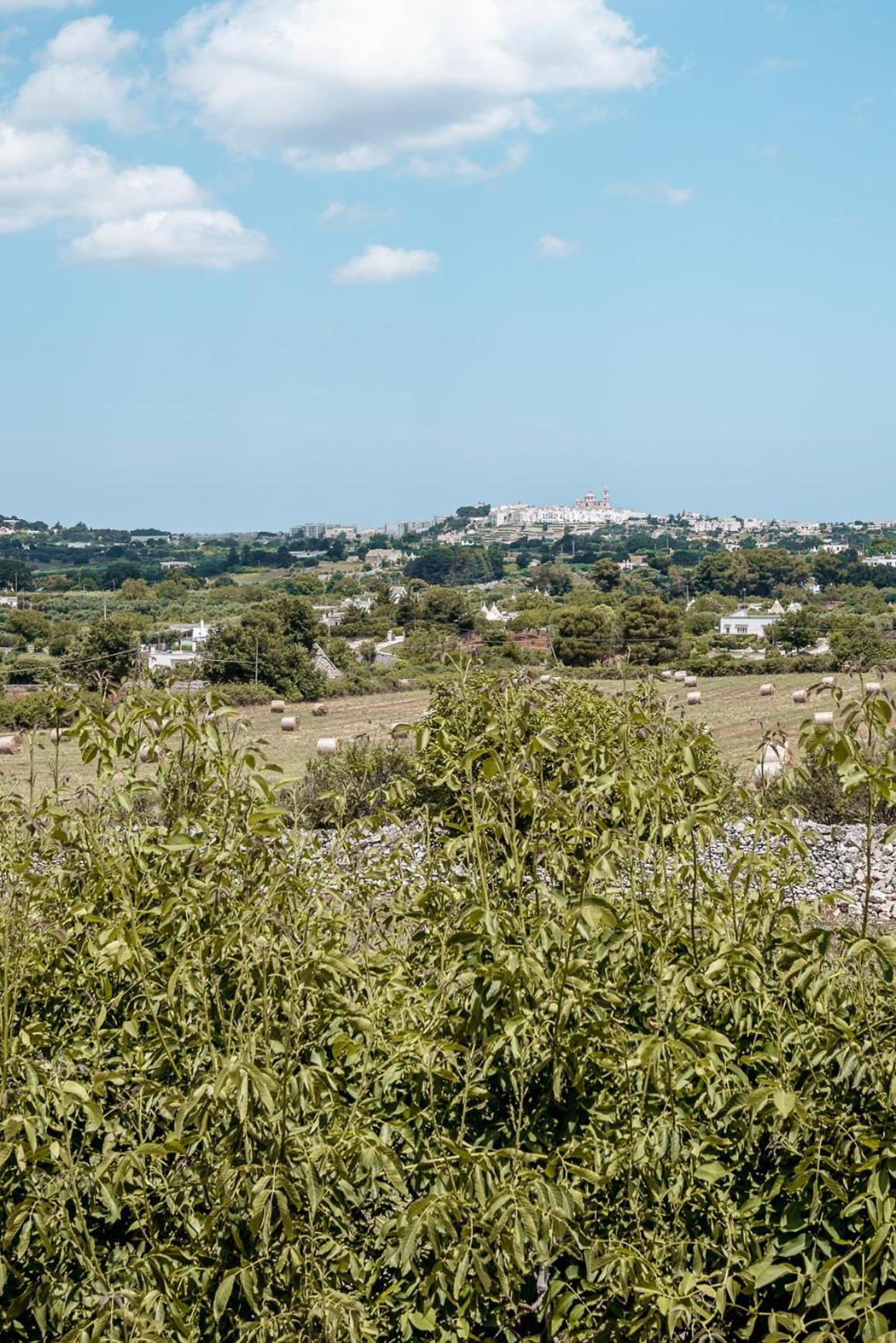 מרטינה פרנקה Masseria Pavone מראה חיצוני תמונה