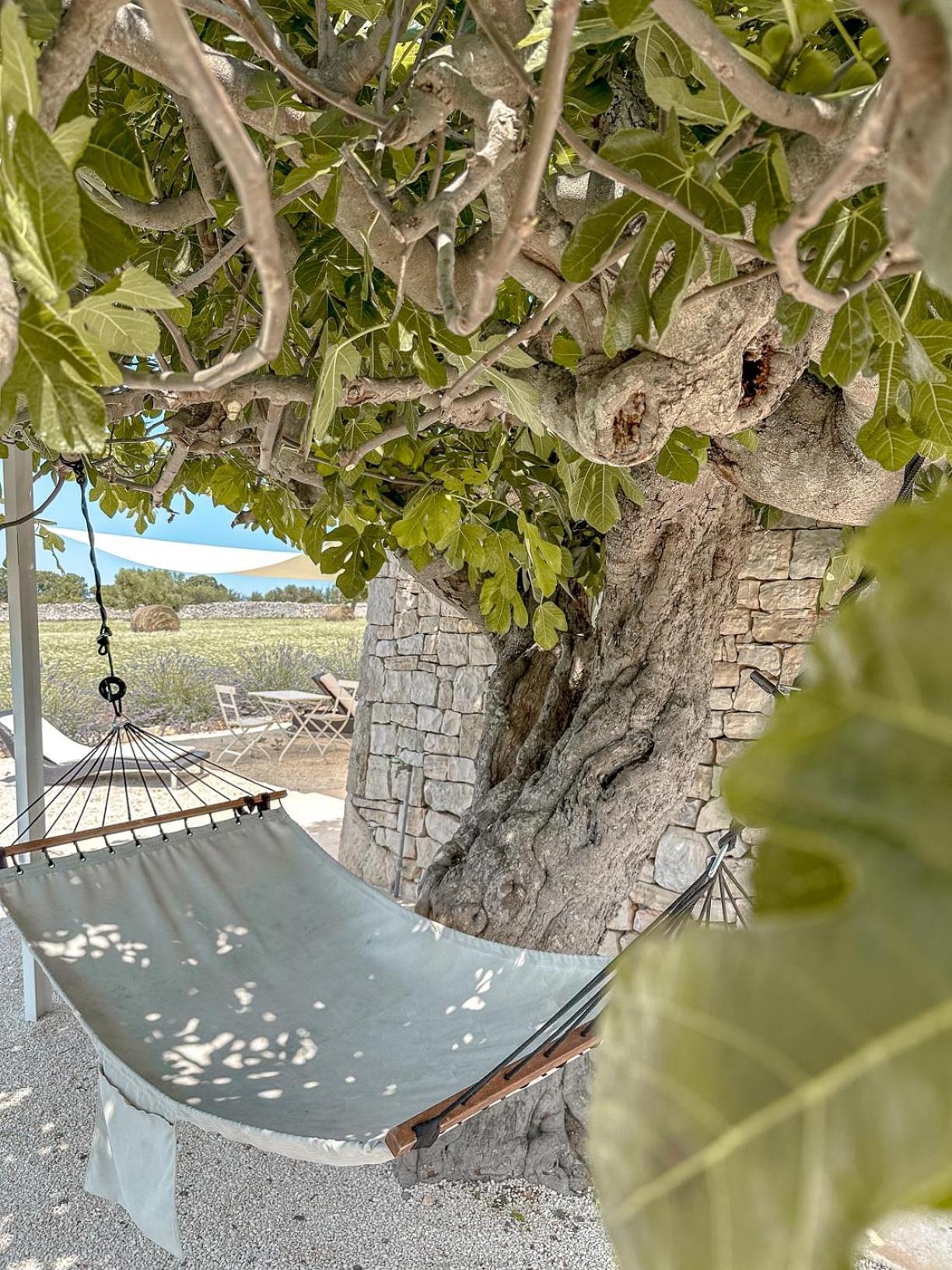 מרטינה פרנקה Masseria Pavone מראה חיצוני תמונה