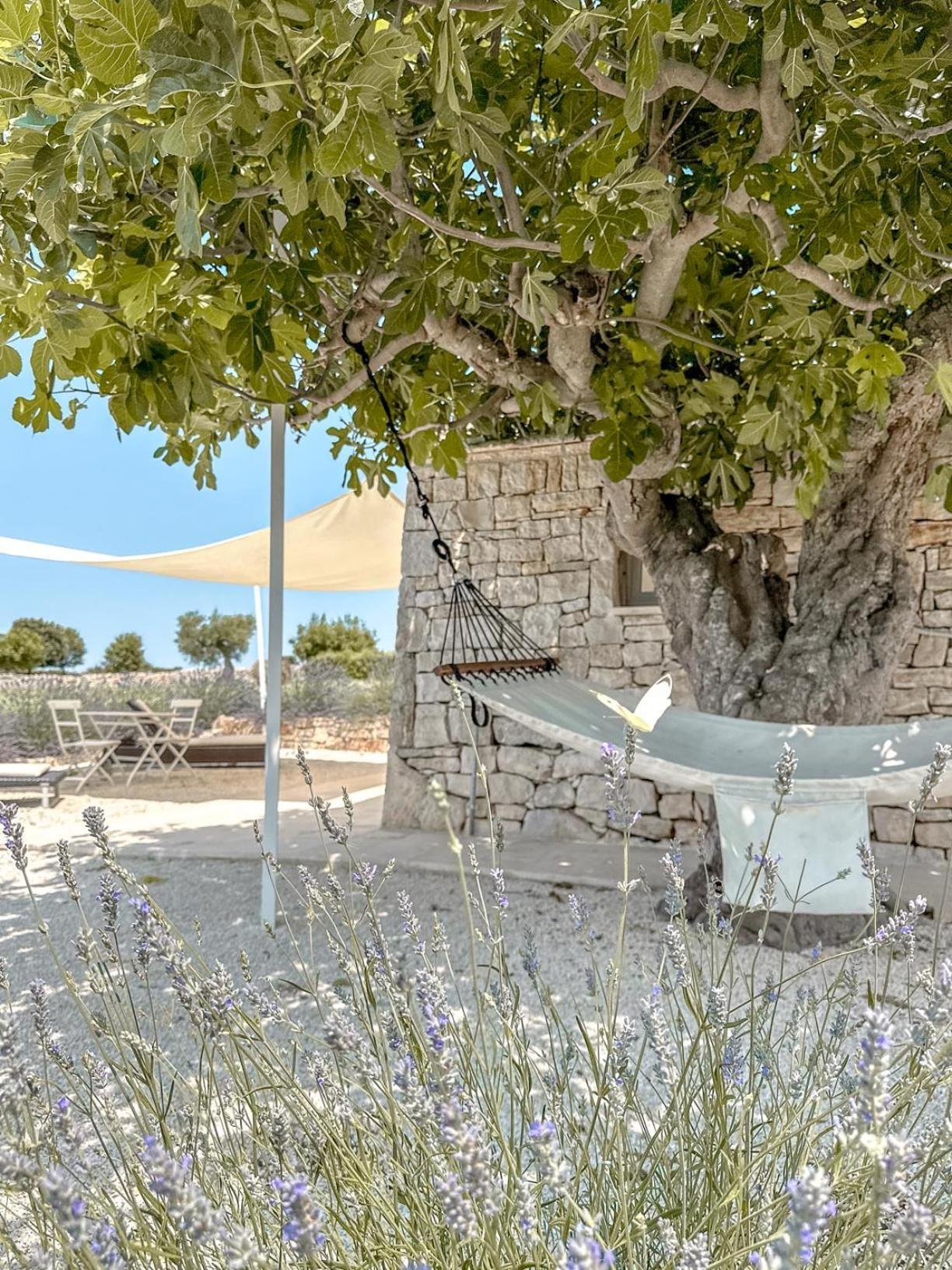מרטינה פרנקה Masseria Pavone מראה חיצוני תמונה